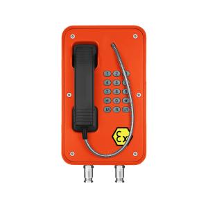 China SIP Explosion Proof Hazardous Area Telephone PoE Powered Of Gas Group IIB / IIA wholesale