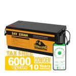 OEM 24V 100AH 200AH 230AH 12V Li Ion Battery Pack For Solar System RV Electric