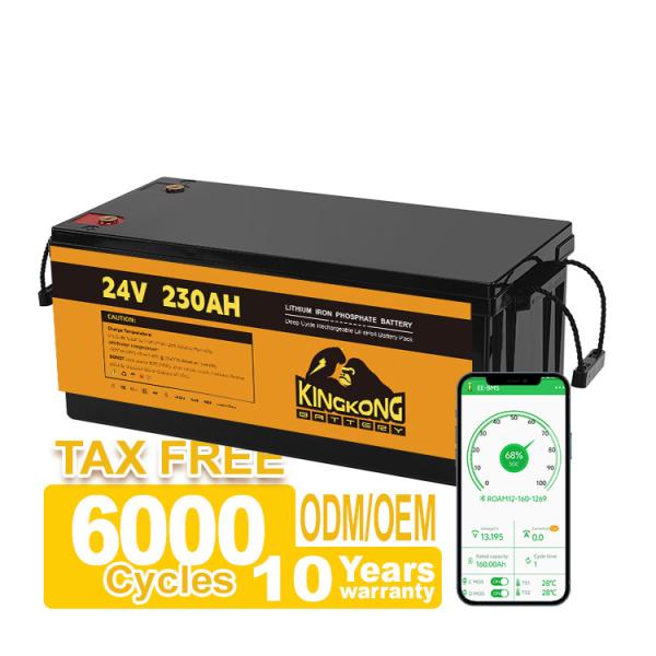 OEM 24V 100AH 200AH 230AH 12V Li Ion Battery Pack For Solar System RV Electric