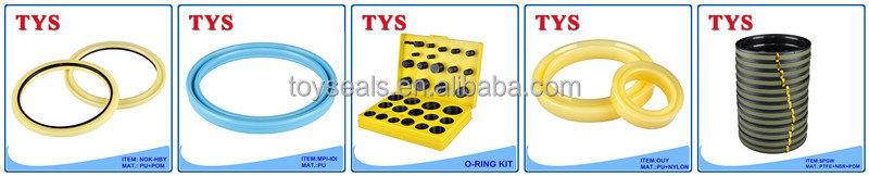 hydraulic cylinder seals