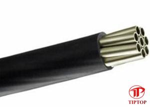 China PVC Sheath Cold Drawn Seamless 304L Multi Core Tubing wholesale