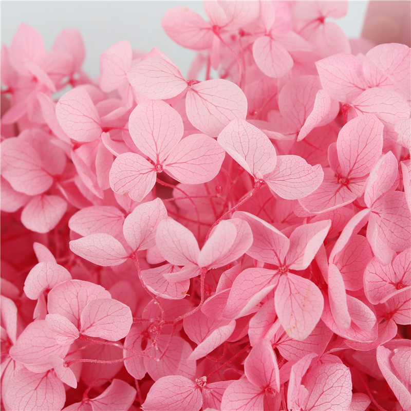 Decorative Wall Natural Touch Preserved Hydrangea Color Chart Available