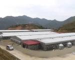 Galvanized Prefabricated Steel Structure with Q355 Q235B Steel Grade