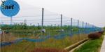 Agricultural Bird Prevention Netting 5m - 1000m Knitted Bird Netting