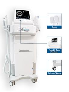 China Sincoheren Muscle Building CE Approved Ems Therapy Machine wholesale
