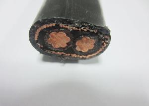 China XLPE Insulation Flat Concentric Cable 600V / 1000V Copper Conductor wholesale
