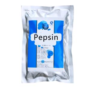 China Food Grade Stomach Enzyme Pepsin 3000NF/Mg-10000NF/Mg Powder Like wholesale