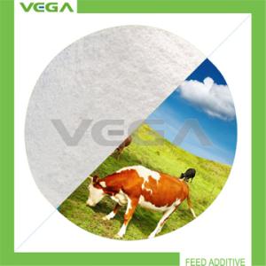 China Florfenicol 20% Premix/Florfenicol 20% China Manufacturer with Free Sample wholesale