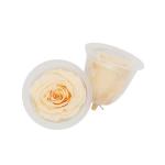 5-6cm Preserved Rose Heads
