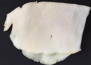 China White Color Seasoned Dried Squid wholesale