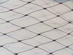 Insect Protection Nets/Insect Net/Anti Bird Net