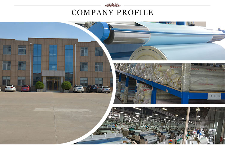 Window blinds,Digital printing roller shades,high quality printed blinds with latest design,zebra roller blinds fabric