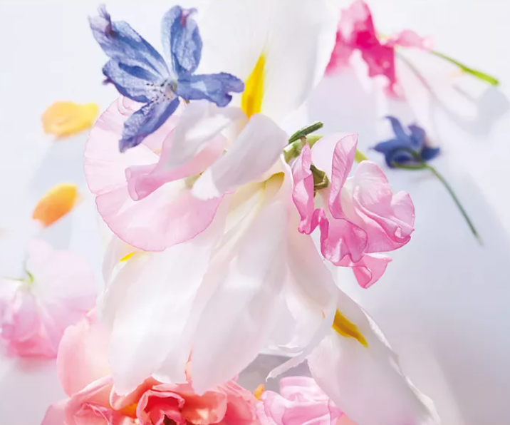 Free Samples Miss Di Or Cherie Perfume Fragrance Oil Day And Night Using