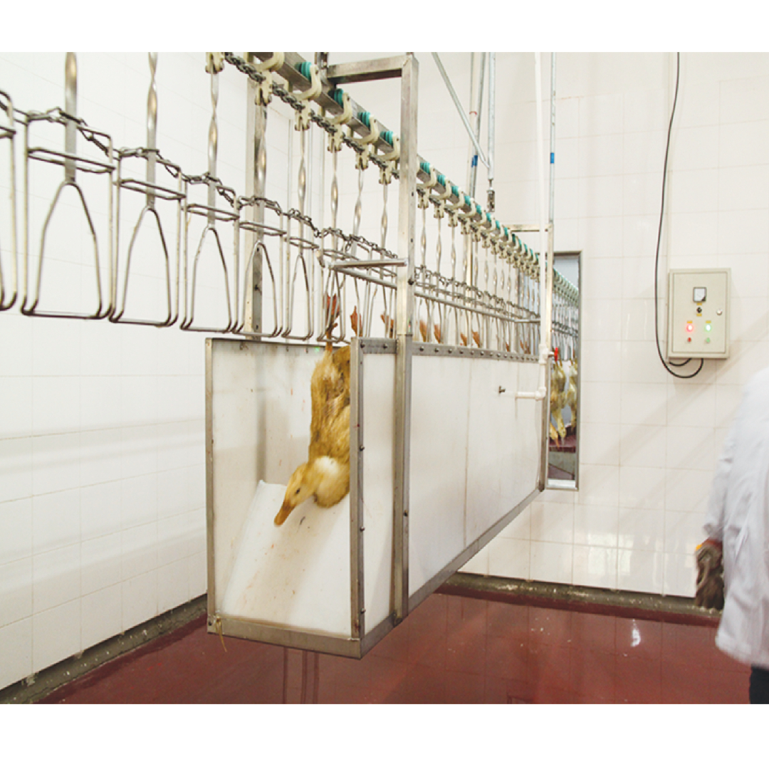 Customized Slaughtering Equipment Accessories Fully Automatic Poultry Slaughter Machine Hanger