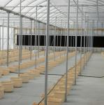 Pp Soilless Hydroponic System Medium 30x25x23cm Beige Dutch Bucket Growing