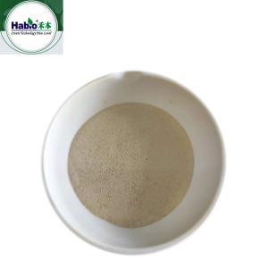China Feed Enzyme Acid Protease Powder 50,000U/g wholesale