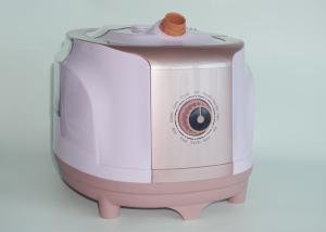 China Laundry Garment Steamer With Stand , Wrinkle Remover Fabric Clothes Steamer wholesale