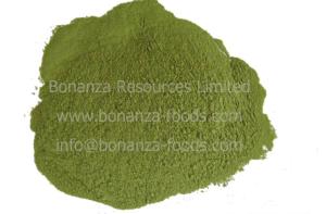 China Air Dried Celery Flour Dehydrated Celery Stalk Powder wholesale