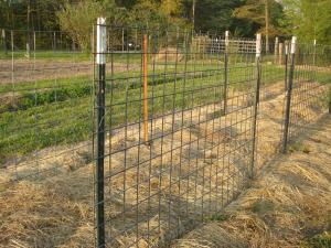 China Painted Farm 0.95lb/Ft 800mm Height Steel Fence T Post wholesale