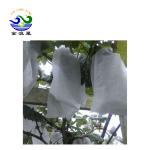 Agricultural 40G Banana Fruit Protection Bags 18x25cm