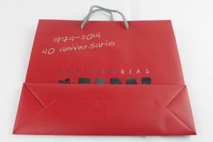 China Professional 100-450gsm Kraft Paper Bags PP Rope Handle Art Paper Bag wholesale
