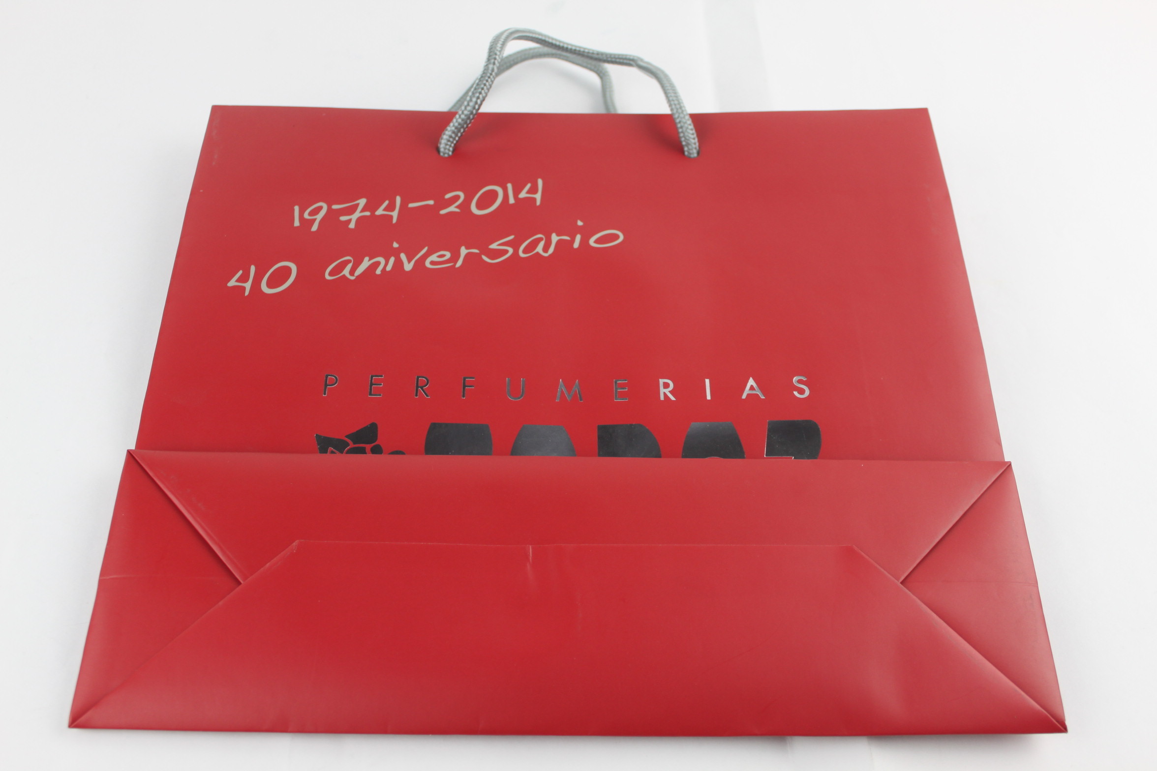 Professional 100-450gsm Kraft Paper Bags PP Rope Handle Art Paper Bag