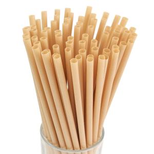 China Wholesale Disposable Biodegradables Bagasse Drinking Straws For Party wholesale