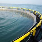 HDPE Pipe Floating Fish Farming Cage Aquaculture Traps Customizable