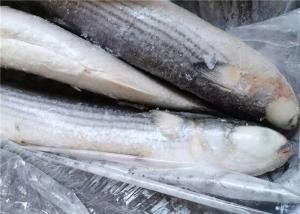 China 1000g 1500g Seafood BQF Freezing Grey Mullet Fish wholesale