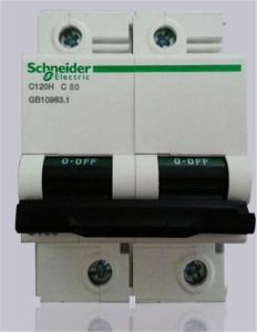 China Acti 9 C120 Miniature Circuit Breaker Schneider 125A MCB B C D Curves wholesale