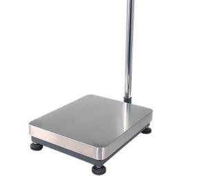 China 15kg to 1500kg stainless steel platform scales Carbon Steel Platform wholesale