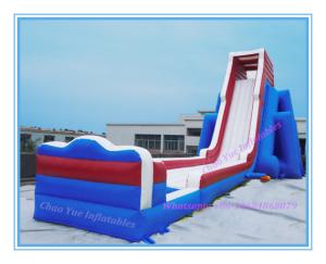 China 2015 Giant Inflatable Water Pool Slide for Amusement Park (CY-M2131) on sale