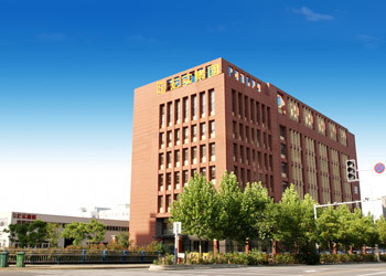 Anhui Hongshi Optoelectronic High-tech Co.,Ltd