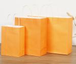 Embossed Printing Paper Bag 250gsm Printed Paper Carrier Bags