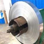 DIN 2507 Stainless Steel Strip Spring 19mm Flat Used In Food Vessel