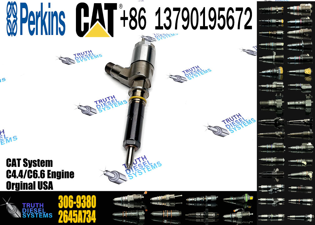 Common Rail Injector 306-9380 306-9390 310-9067 2645A751 320-0655 320-0688 2645A746 2645A749 2645A747 10R-7671
