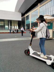 China H1340MM Folding Lithium Battery Waterproof Electric Scooter wholesale