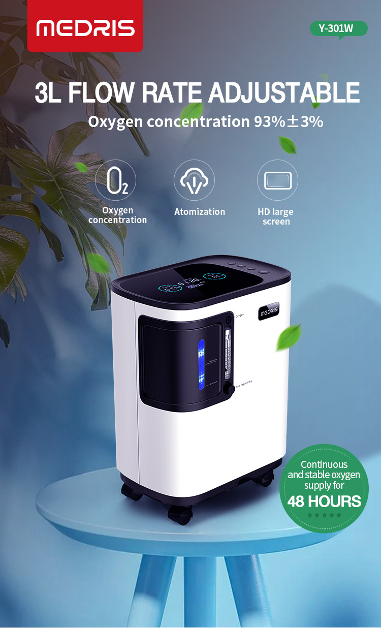 Portable LCD 3L Medical Grade Oxygen Generator Suitable For The Elderly And Children