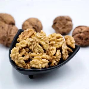 China Walnut wholesale kernel walnut Factory price Food supplements walnuts peptide wholesale