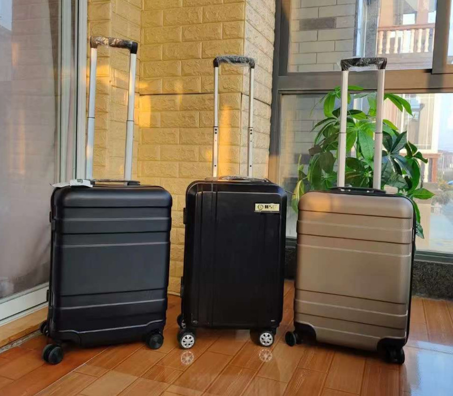Custom Logo High Quality 20 Inch Hard Shell Aluminium Suitcase Luggage