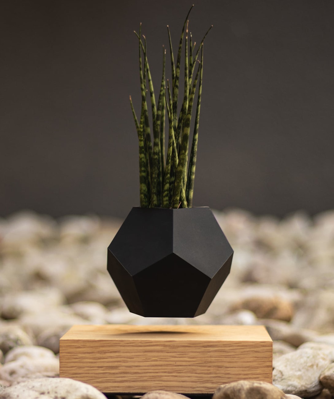 white pot magnetic levitation air bonsai, floating display plant pot tree