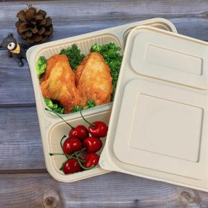 China 4 Compartment Biodegradable Takeaway Boxes wholesale