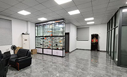 foshan Yibao Enterprise service co.,Ltd