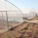 Agricultural Singlespan Tunnel Plastic Film Tropical Greenhouse