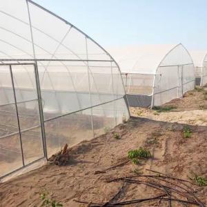 China Agricultural Singlespan Tunnel Plastic Film Tropical Greenhouse wholesale
