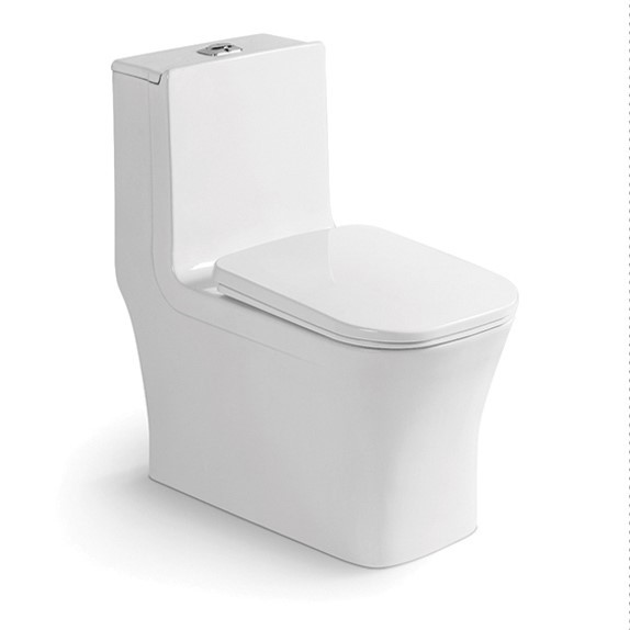 North America Modern One Piece Ceramic Siphonic Toilet Dual Flush Floor Mounted