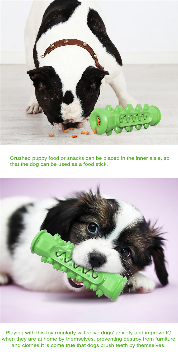 High Quality And Good Price Various Colors Safe Serrated Molar Rod With Dog Bite Rope