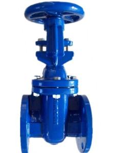 China (BS) Cast Iron Gate Valve wholesale