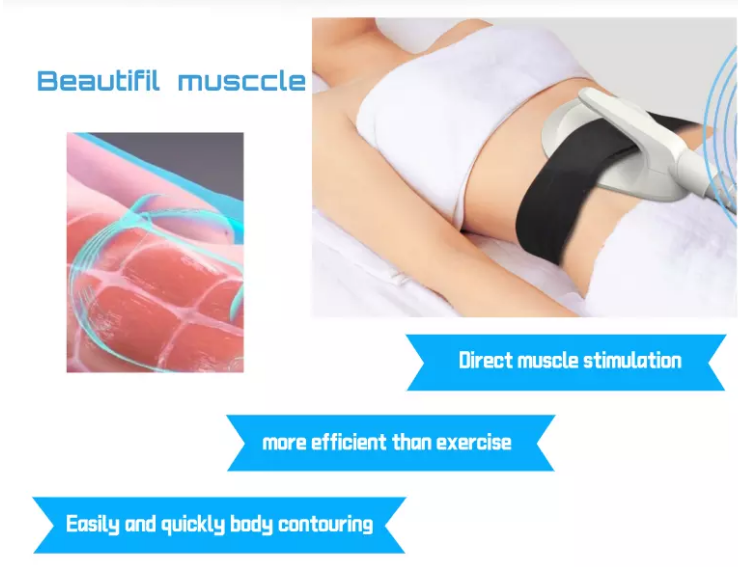 EMT-8 Electro Muscle Stimulator Portable Ems Sculpting Machine 1500W Slimming