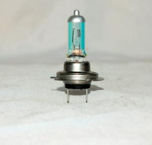 China H7 BULBS wholesale